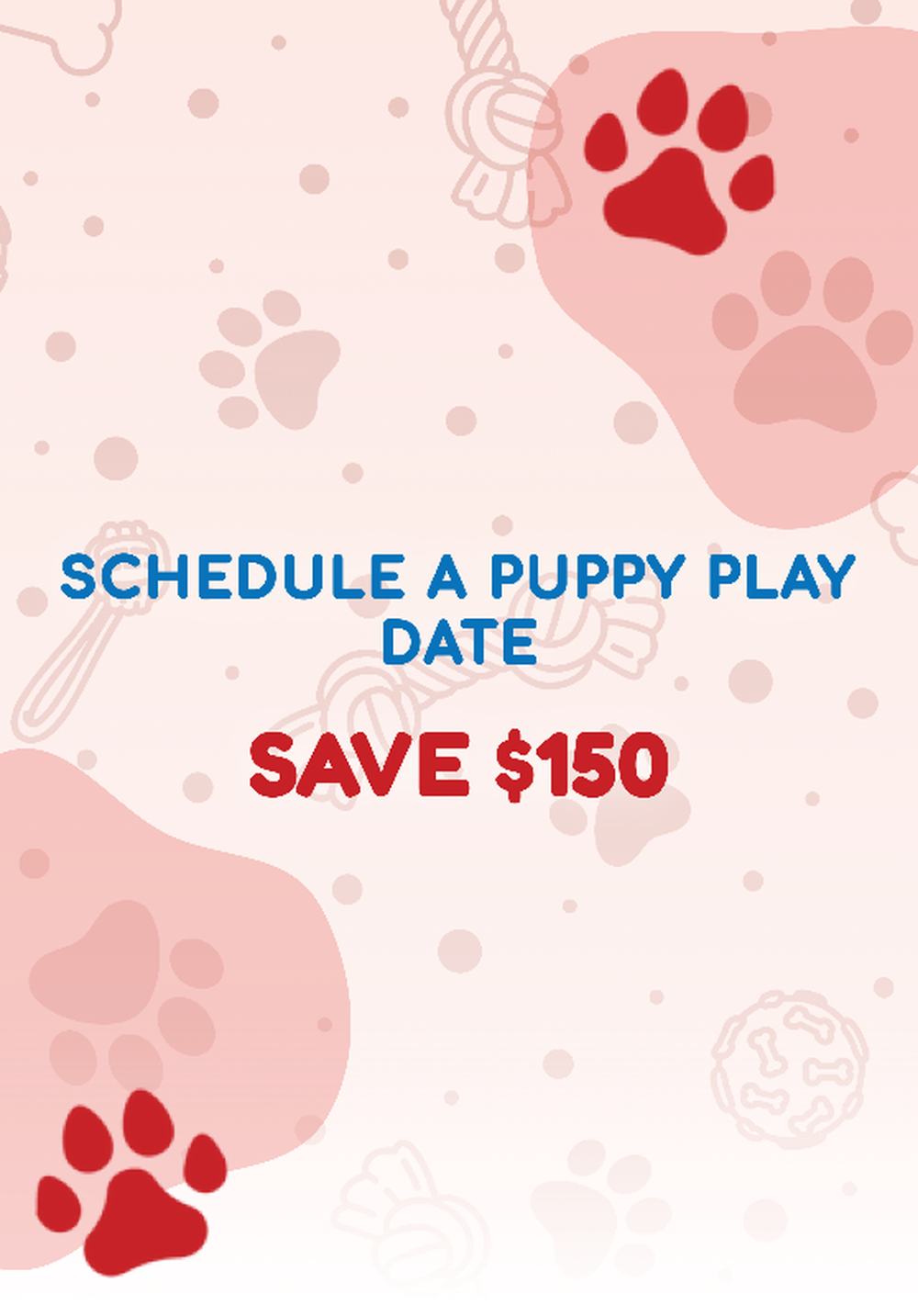 Schedule a Puppy Play Date and Save $150