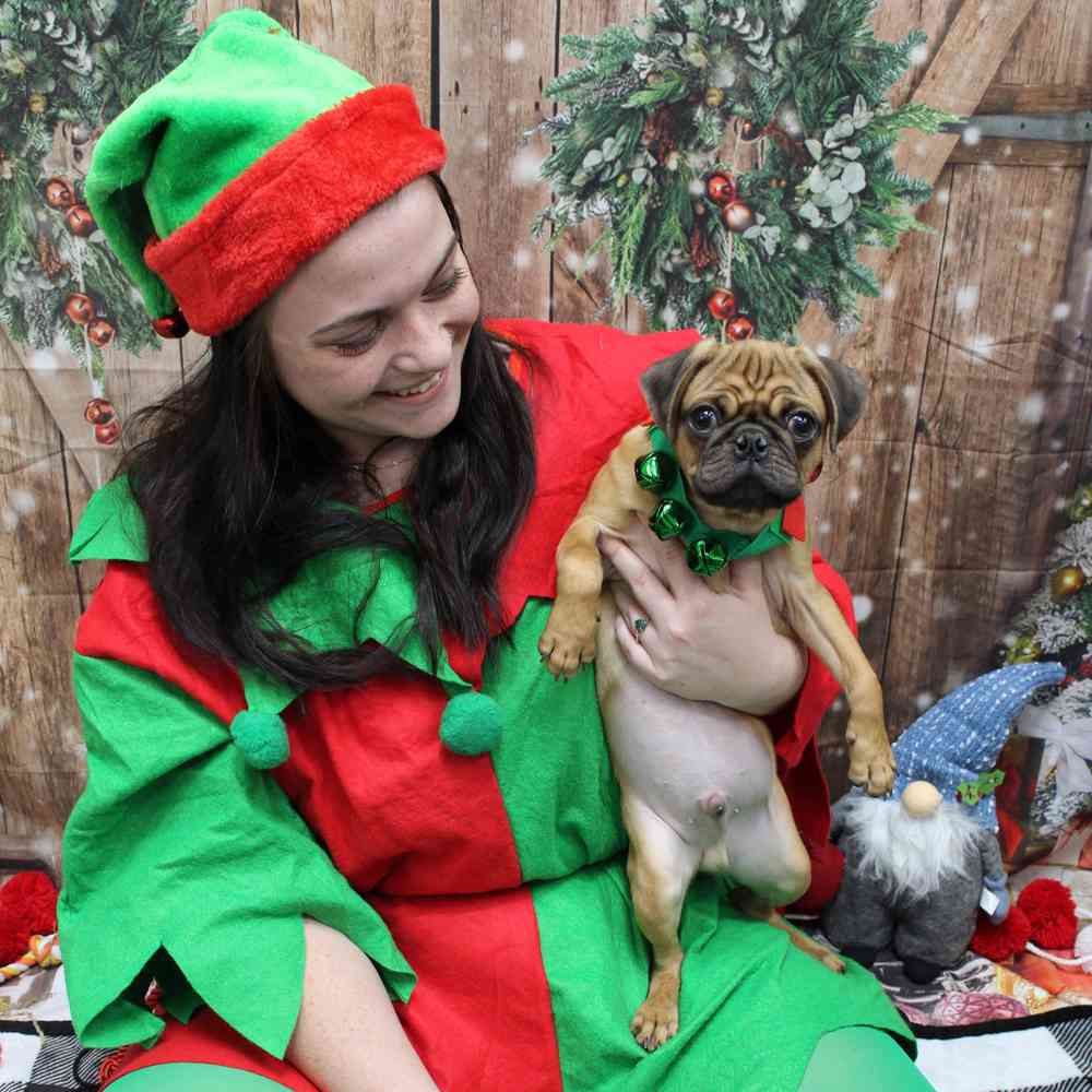 image_cropper_720BCA77-0DCF-4EDD-9B1C-37EF41F72E4B-23378-00000A24AF8F6D69.jpg
