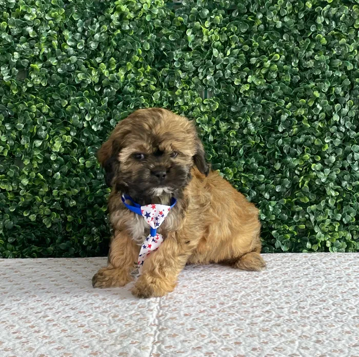 image_cropper_0EC011F6-6891-4E10-8299-0F625E755D9E-1645-0000017ABB3F5207.jpg image