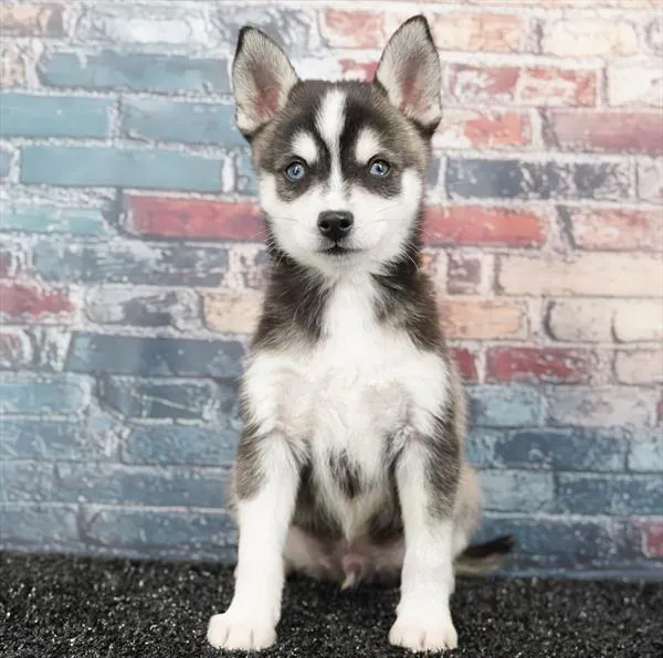 2875223eaf0dcd0-7759-4584-9d2d-642efd7df3e3AirBrush_20260331183651.jpg image